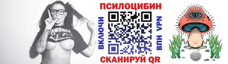 Псилоцибиновые грибы Psilocybe  Назарово 